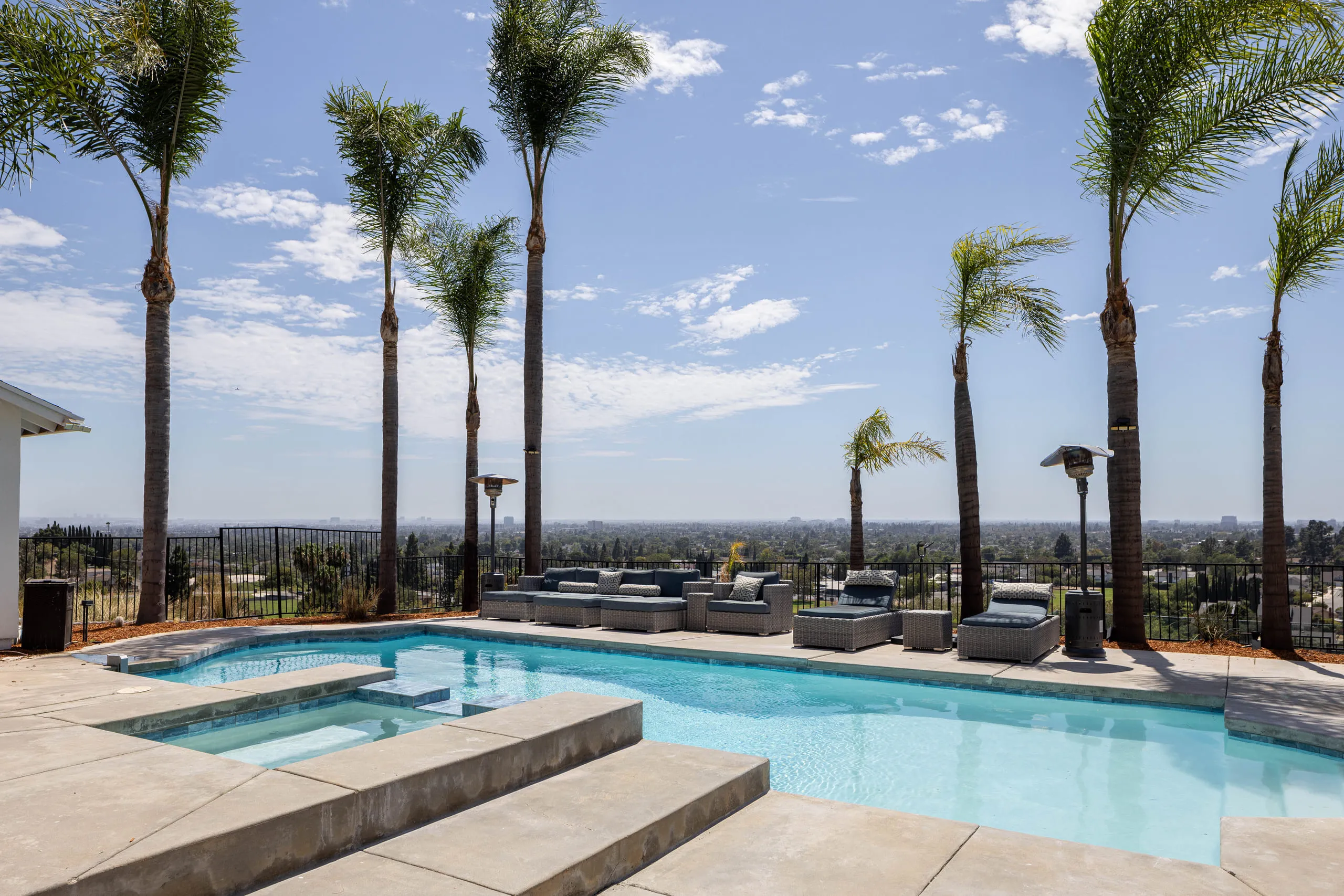 Pool and raised spa beneath a row of palms